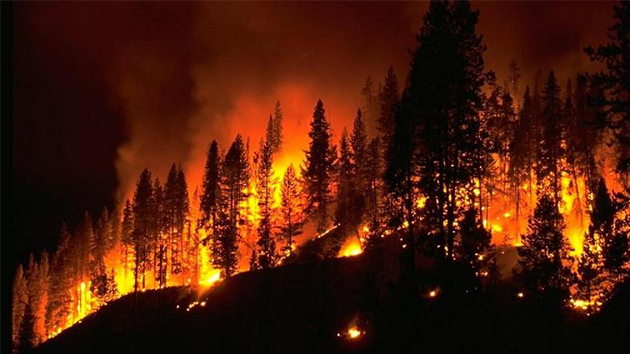 消防知識(shí) 丨 5種火災(zāi)不能用水撲救，你知道嗎？